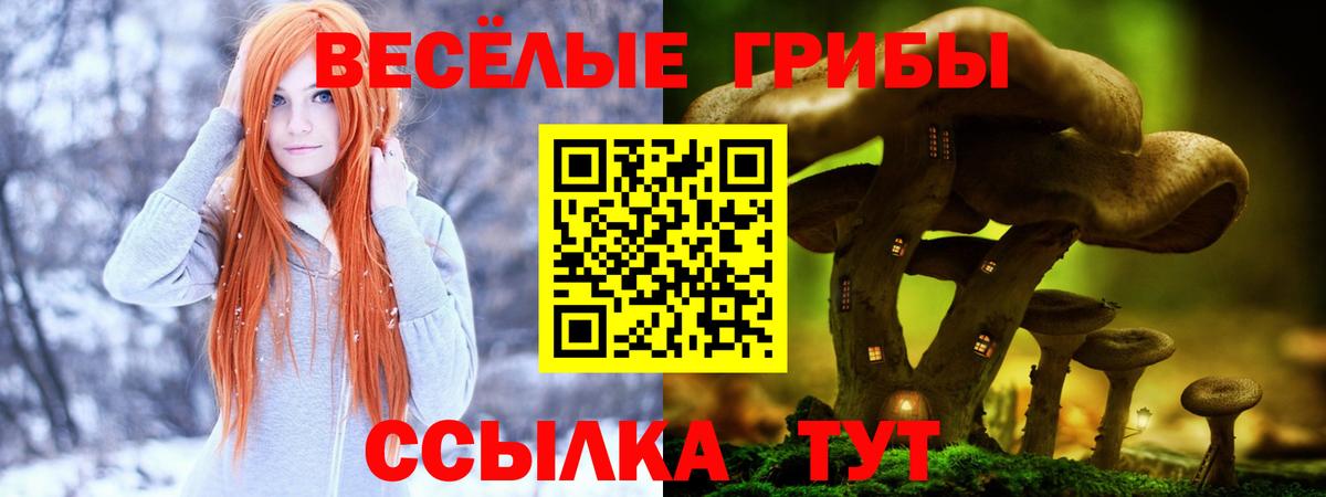 Псилоцибиновые грибы мицелий  цены наркотик  Минусинск  Вход с VPN 